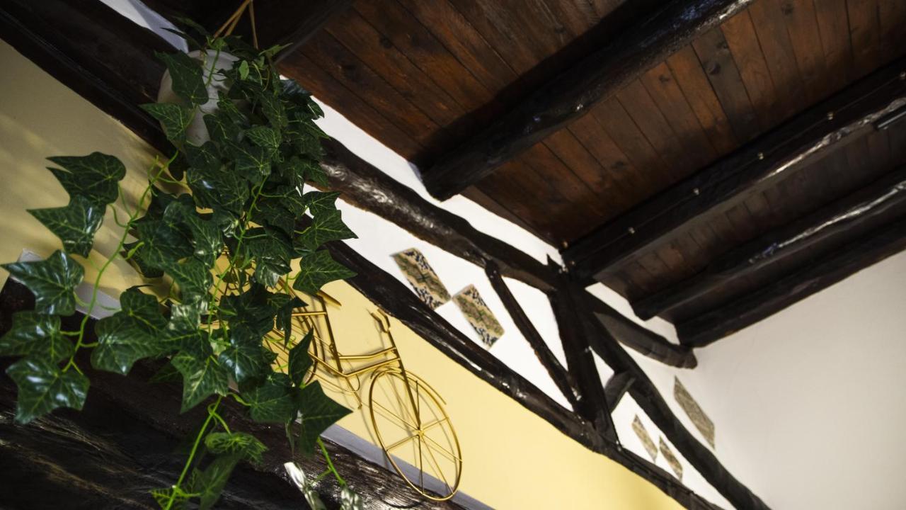 Le Maioliche Apartment パレルモ エクステリア 写真